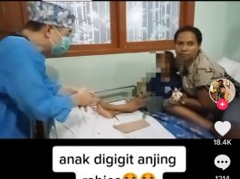 Viral Tiktok Anak 5 Tahun Meninggal Karena Rabies