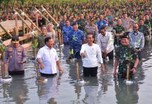Presiden Jokowi Minta Kalsel Siapkan Lahan Pertanian 100 Ribu Hektare Hadapi El Nino