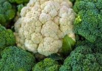 Ayo Buang Racun yang Bikin Penyakit dengan 10 Makanan Pembersih Darah Ini!