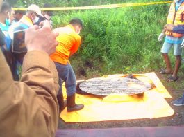 Mayat yang Ditemukan di Belakang Bandara Syamsuddin Noor Dipenuhi Belatung