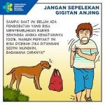 Digigit Hewan Terkena Rabies Apa yang Terjadi pada Tubuh Anda?