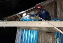 Petugas DPKP Banjar Hancurkan Sarang Tawon di Atap Rumah Aan Saputra