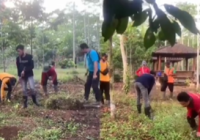 Dishut Kalsel Isi Peringatan Lahir Pancasila dengan Aksi Pemeliharaan Tanaman di Perkantoran Pemprov