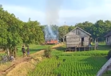 Kebakaran di Melayu Martapura Timur Diduga Disengaja, Relawan Damkar Dihalangi Pria Bawa Parang