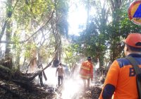 BPBD Kalsel Pesan 10 Helikopter Tangani Karhutla