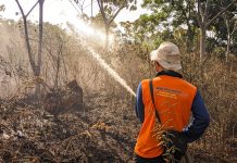 Karhutla di Sungai Ulin Hanguskan 800 Meter Kubik Lahan, BPBD Banjar Berikan Imbauan ini
