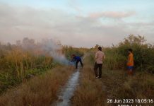 Lahan 0,5 Hektar Terbakar di Desa Tambak Padi, Tim TRC BPBD Banjar Padamkan Api Secara Manual