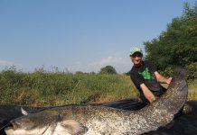 Pemancing Asal Italia Tangkap Ikan Lele Raksasa, Panjangnya Hampir 3 Meter