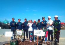 Peringati Hari Lingkungan Hidup, Pemkab Banjar Tanam Bibit Pohon di Siring Air Santri
