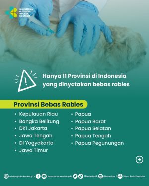 Kalsel Belum Bebas Rabies, Kemenkes Rilis 11 Provinsi Bebas Rabies