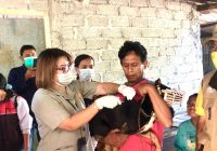 128 Orang Terinfeksi Rabies di Kabupaten Timor Tengah NTT