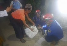 Warga Desa Tunggul Irang Geger Ada Ular, DPKP Evakuasi