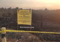 Kebakaran Lahan di Belakang Pasar Pembataan Liang Anggang Dekat Pemukiman Warga