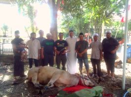 Forum Jurnalis Banjar Sembelih Seekor Sapi di Idul Adha 1444 H