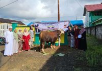 Lazis Assalam Fil Alamin Salurkan Zakat Berupa Bantuan Hewan Kurban Bagi Mualaf di Tanah Bumbu