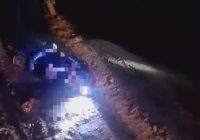 Viral di Grup Whatsapp Pria Tewas Terlilit Ular Piton di Pengaron