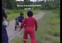 Pelempar Anjing untuk Makan Buaya di Video Viral Ditangkap Polisi