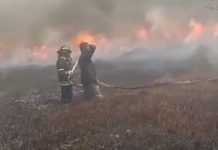 Kebakaran Lahan Terjadi di Desa Anjir Serapat km 8, Api Berkobar