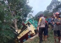 Mobil Colt Masuk Jurang, Sopir Meninggal Dunia