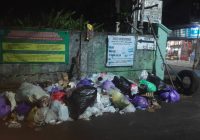 Armada Kurang, Sampah Menumpuk di Desa Tanjung Rema, Kades Madraji Harapkan Disperkim LH