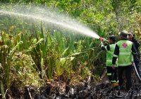 Botol Bensin Ditemukan di Area Kebakaran Lahan Seluas 0,3 Hektare di Palangka Raya
