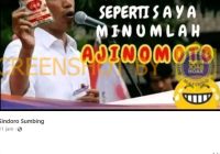 Heboh Foto Presiden Jokowi Pegang Penyedap Rasa, Hoaks