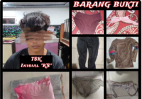 Setubuhi Dua Anak di Bawah Umur, Macan Barbar Amankan Seorang Pria