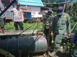 Beruang Madu Resahkan Warga Desa Teluk Haur CLU Tapin Akhirnya Masuk Perangkap