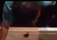 Polisi Ditembak Rekan di Rusun Polri, Hotman Paris: "Viral di Masyarakat Dayak Kalbar!"