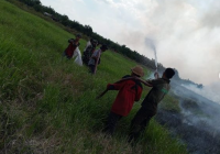 73 Hotspot Terdeteksi di HSS, Karhutla Menyebar di Tujuh Kecamatan