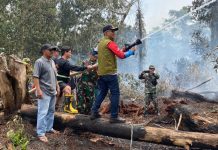 Karhutla Terjadi di Singkawang, Pj Bupati Terjun Padamkan Titik Api