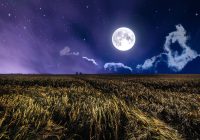 Full Buck Moon Muncul di Bulan Juli 2023, Catat! Ini Supermoon Berikutnya Bakal Muncul