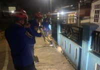 Ular Kobra Buat Warga Sungai Paring Kabupaten Banjar Ketakutan