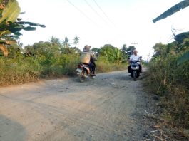 Respons PUPR Banjar Terkait Rusaknya Jalan Poros Desa Kalampaian Ilir-Munggu