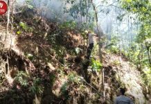 Kebakaran Lahan di Desa Tiwingan Lama Kabupaten Banjar
