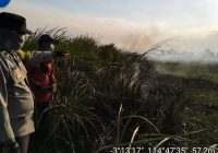 10 Hektare Lahan Terbakar di Desa Sindang Jaya Kabupaten Banjar