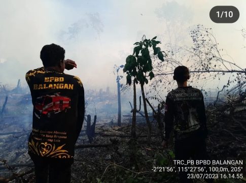 Kebakaran Hanguskan 2 Hektare Lahan di Desa Harapan Baru Balangan