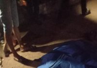 Tabrak Truk, Seorang Pengendara Roda 2 Tewas di Handil Bakti
