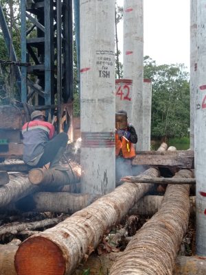 Dinas PUPR Kalsel Bangun Jembatan Jejangkit Muara, Hubungkan 2 Kabupaten di Kalsel