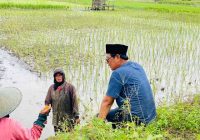 Kalsel Siap Jadi Penyangga Pangan Nasional Hadapi El Nino