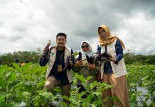 PLN Raih Penghargaan Nusantara CSR Awards 2023 Berkat Program Elektrifikasi Pertanian