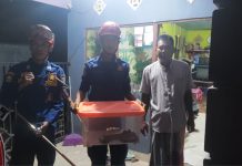 Ular Kembali Meresahkan, Tengah Malam Berkeliaran di Ruang Makan Rumah Warga Gambut