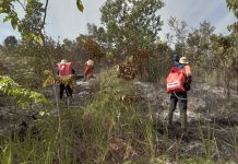 Karhutla di Pulau Nyiur, Lahan 40 Hektare di Desa Abirau Kabupaten Banjar Hangus
