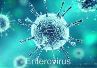 Puluhan Bayi di Eropa Terpapar Enterovirus, Penyakit Apa itu?