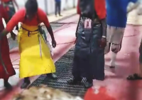 Kemenag Lakukan Kajian Agar Hewan Dam Haji Bisa Disembelih di Indonesia