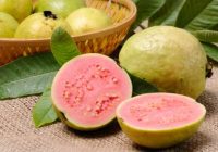 Selain Manfaatnya Baik untuk Tubuh, Ini 4 Efek Samping Jambu Biji Merah