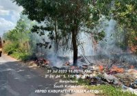 Kebakaran Lahan di Belakang Stadion Demang Lehman Martapura, BPBD Banjar Unkap Wilayah yang Rawan Karhutla