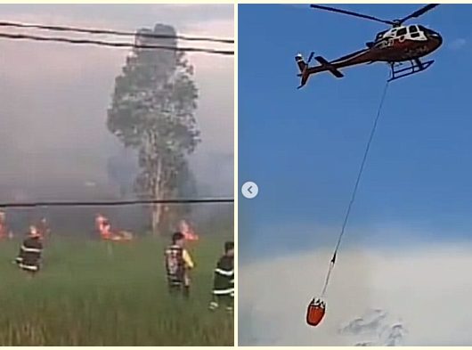 BREAKING NEWS Kebakaran Lahan Landa Kawasan Pengayuan Landasan Ulin, Heli Bom Air Dikerahkan