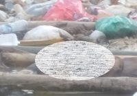 BREAKING NEWS Temuan Mayat di Area Tumpukan Sampah Sungai Aning Astambul