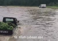 Video Viral Mobil Pikap Berenang Menyeberangi Sungai Mengantar Pisang, SDCI: Habitatnya di Darat